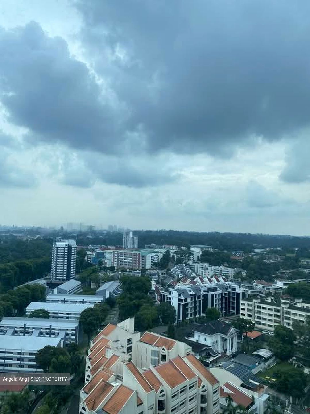 Residences @ Evelyn (D11), Condominium #558074351